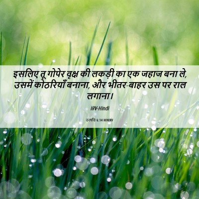 Picture 06 - उत्पत्ति 6:14 HINIRV - इसलिए तू गोपेर - Bible Verse Picture