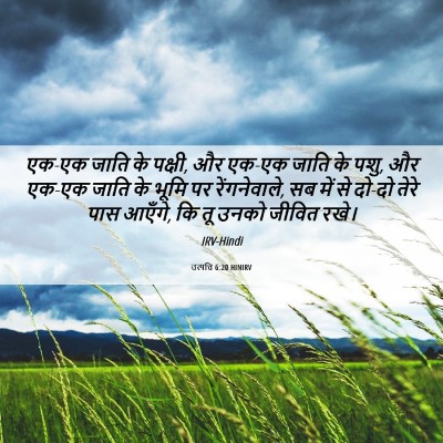 Picture 06 - उत्पत्ति 6:20 HINIRV - एक-एक जाति के - Bible Verse Picture