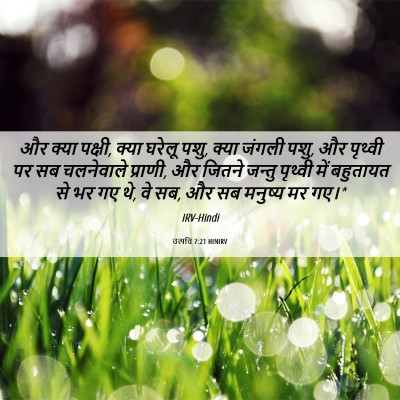 Picture 06 - उत्पत्ति 7:21 HINIRV - और क्या पक्षी, क्या - Bible Verse Picture