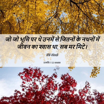 Picture 06 - उत्पत्ति 7:22 HINIRV - जो-जो भूमि पर थे - Bible Verse Picture
