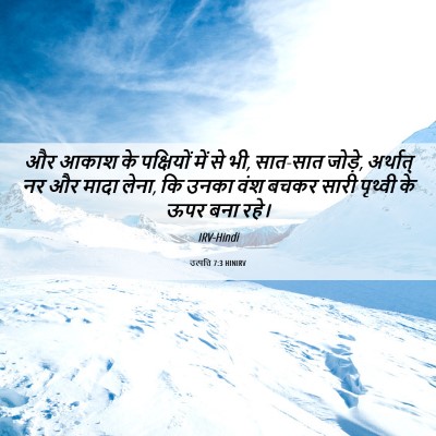 Picture 06 - उत्पत्ति 7:3 HINIRV - और आकाश के - Bible Verse Picture