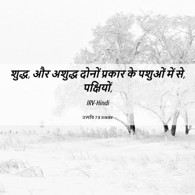 Picture 06 - उत्पत्ति 7:8 HINIRV - शुद्ध, और अशुद्ध - Bible Verse Picture