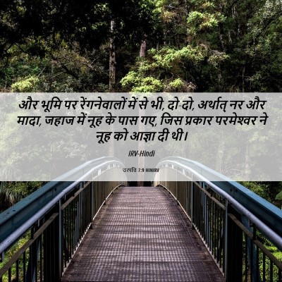 Picture 06 - उत्पत्ति 7:9 HINIRV - और भूमि पर - Bible Verse Picture