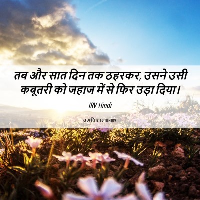 Picture 06 - उत्पत्ति 8:10 HINIRV - तब और सात दिन तक - Bible Verse Picture