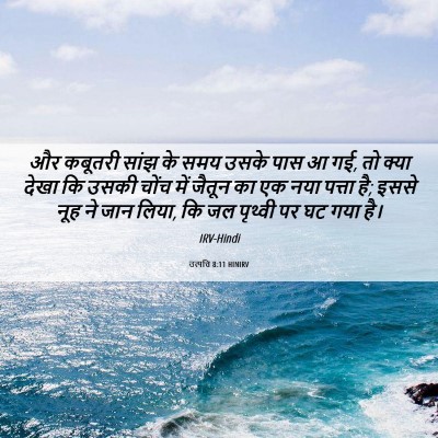 Picture 06 - उत्पत्ति 8:11 HINIRV - और कबूतरी सांझ के - Bible Verse Picture