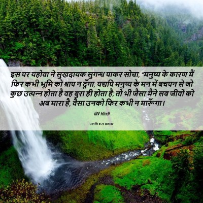 Picture 06 - उत्पत्ति 8:21 HINIRV - इस पर यहोवा ने - Bible Verse Picture