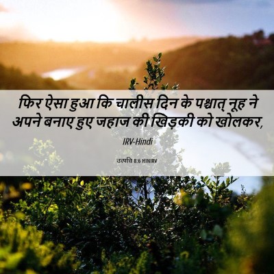Picture 06 - उत्पत्ति 8:6 HINIRV - फिर ऐसा हुआ कि - Bible Verse Picture