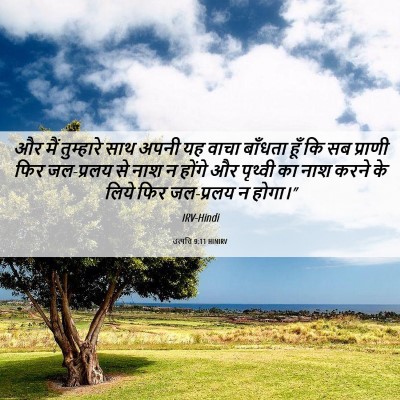 Picture 06 - उत्पत्ति 9:11 HINIRV - और मैं तुम्हारे - Bible Verse Picture