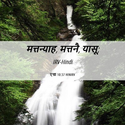 Picture 06 - एज्रा 10:37 HINIRV - मत्तन्याह, मत्तनै, - Bible Verse Picture
