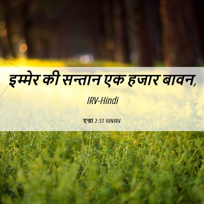 Picture 06 - एज्रा 2:37 HINIRV - इम्मेर की सन्तान - Bible Verse Picture