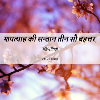 Picture 06 - एज्रा 2:4 HINIRV - शपत्याह की सन्तान - Bible Verse Picture