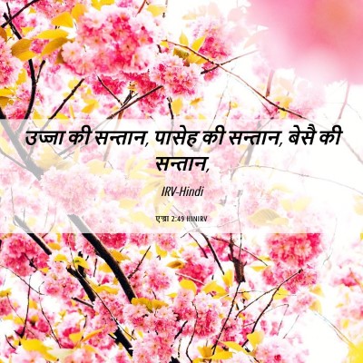 Picture 06 - एज्रा 2:49 HINIRV - उज्जा की सन्तान, - Bible Verse Picture