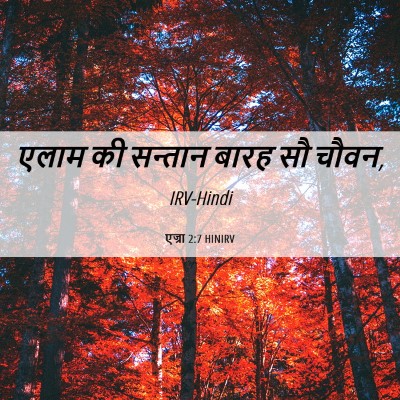 Picture 06 - एज्रा 2:7 HINIRV - एलाम की सन्तान - Bible Verse Picture
