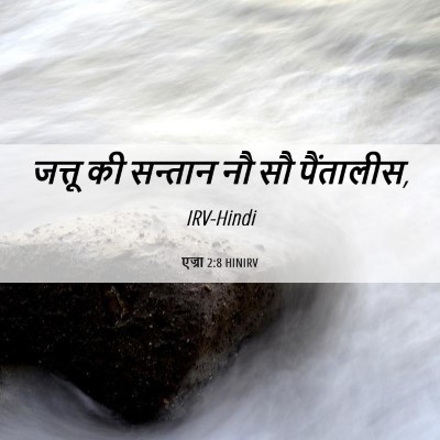 Picture 06 - एज्रा 2:8 HINIRV - जत्तू की सन्तान नौ - Bible Verse Picture