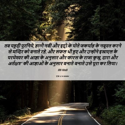 Picture 06 - एज्रा 6:14 HINIRV - तब यहूदी पुरनिये, - Bible Verse Picture