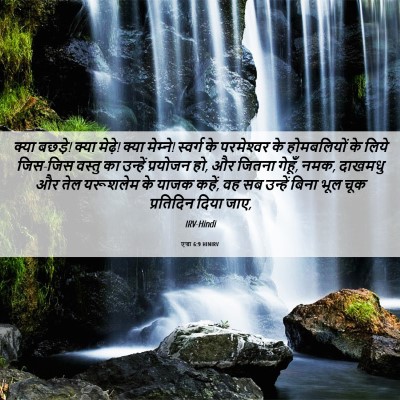 Picture 06 - एज्रा 6:9 HINIRV - क्या बछड़े! क्या - Bible Verse Picture