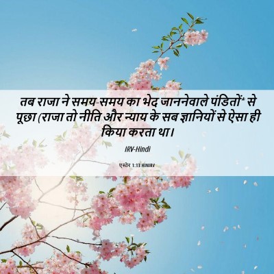 Picture 06 - एस्तेर 1:13 HINIRV - तब राजा ने समय-समय - Bible Verse Picture