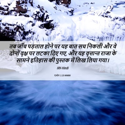 Picture 06 - एस्तेर 2:23 HINIRV - तब जाँच पड़ताल - Bible Verse Picture