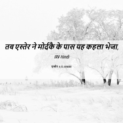 Picture 06 - एस्तेर 4:15 HINIRV - तब एस्तेर ने - Bible Verse Picture