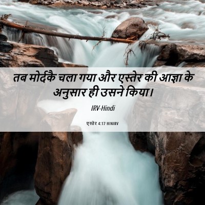 Picture 06 - एस्तेर 4:17 HINIRV - तब मोर्दकै चला गया - Bible Verse Picture