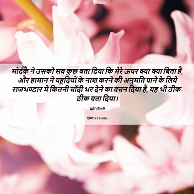 Picture 06 - एस्तेर 4:7 HINIRV - मोर्दकै ने उसको सब - Bible Verse Picture