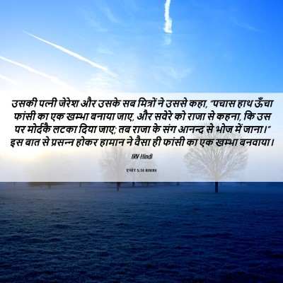 Picture 06 - एस्तेर 5:14 HINIRV - उसकी पत्‍नी जेरेश - Bible Verse Picture