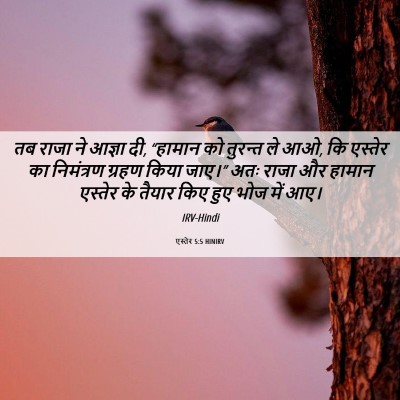 Picture 06 - एस्तेर 5:5 HINIRV - तब राजा ने आज्ञा - Bible Verse Picture