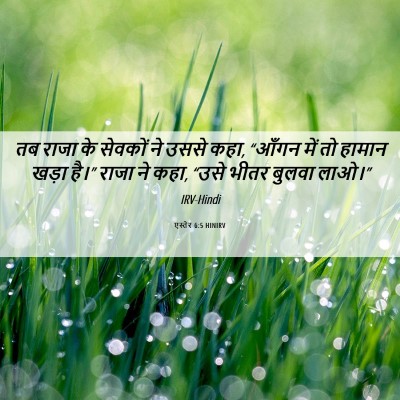 Picture 06 - एस्तेर 6:5 HINIRV - तब राजा के सेवकों - Bible Verse Picture