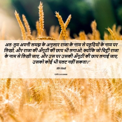 Picture 06 - एस्तेर 8:8 HINIRV - अतः तुम अपनी समझ के - Bible Verse Picture