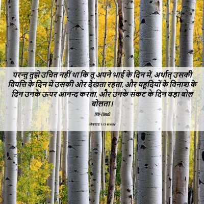 Picture 06 - ओबद्याह 1:12 HINIRV - परन्तु तुझे उचित - Bible Verse Picture