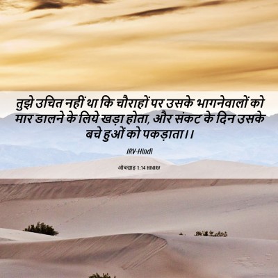 Picture 06 - ओबद्याह 1:14 HINIRV - तुझे उचित नहीं था - Bible Verse Picture