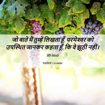 Picture 06 - गलातियों 1:20 HINIRV - जो बातें मैं - Bible Verse Picture