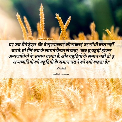 Picture 06 - गलातियों 2:14 HINIRV - पर जब मैंने देखा, - Bible Verse Picture