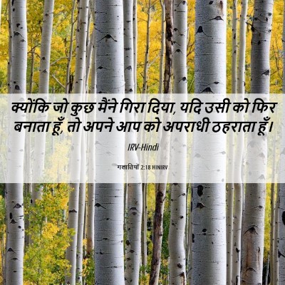 Picture 06 - गलातियों 2:18 HINIRV - क्योंकि जो कुछ - Bible Verse Picture