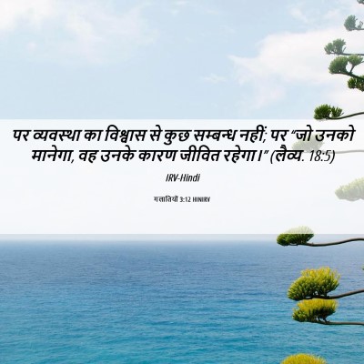 Picture 06 - गलातियों 3:12 HINIRV - पर व्यवस्था का - Bible Verse Picture