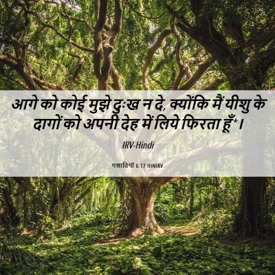 Picture 06 - गलातियों 6:17 HINIRV - आगे को कोई मुझे - Bible Verse Picture
