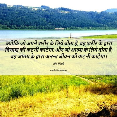 Picture 06 - गलातियों 6:8 HINIRV - क्योंकि जो अपने - Bible Verse Picture