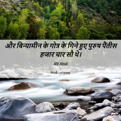 Picture 06 - गिनती 1:37 HINIRV - और बिन्यामीन के - Bible Verse Picture