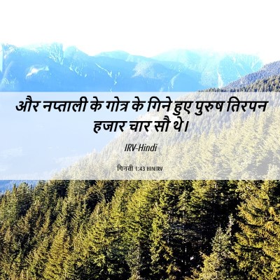 Picture 06 - गिनती 1:43 HINIRV - और नप्ताली के - Bible Verse Picture