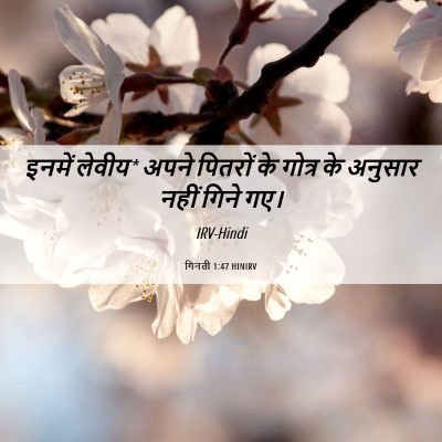 Picture 06 - गिनती 1:47 HINIRV - इनमें लेवीय* अपने - Bible Verse Picture