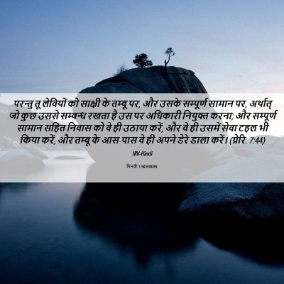 Picture 06 - गिनती 1:50 HINIRV - परन्तु तू लेवियों - Bible Verse Picture