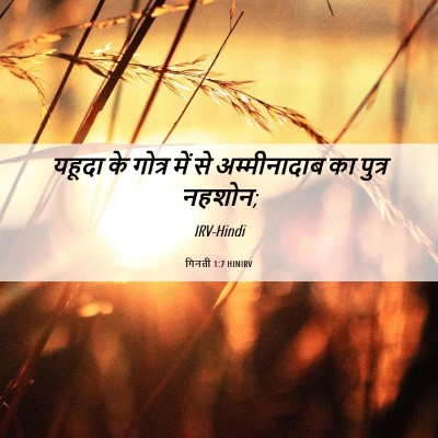 Picture 06 - गिनती 1:7 HINIRV - यहूदा के गोत्र में - Bible Verse Picture