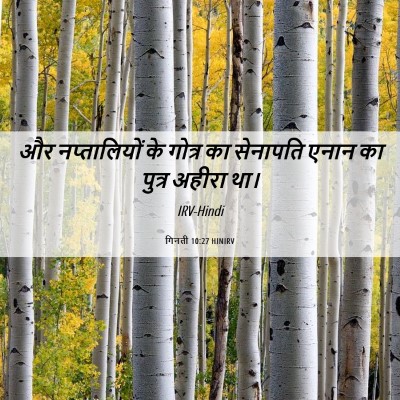 Picture 06 - गिनती 10:27 HINIRV - और नप्तालियों के - Bible Verse Picture