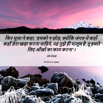 Picture 06 - गिनती 10:31 HINIRV - फिर मूसा ने कहा, - Bible Verse Picture