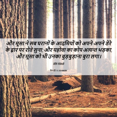 Picture 06 - गिनती 11:10 HINIRV - और मूसा ने सब - Bible Verse Picture