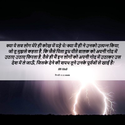 Picture 06 - गिनती 11:12 HINIRV - क्या ये सब लोग मेरे - Bible Verse Picture