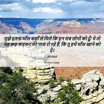 Picture 06 - गिनती 11:13 HINIRV - मुझे इतना माँस - Bible Verse Picture