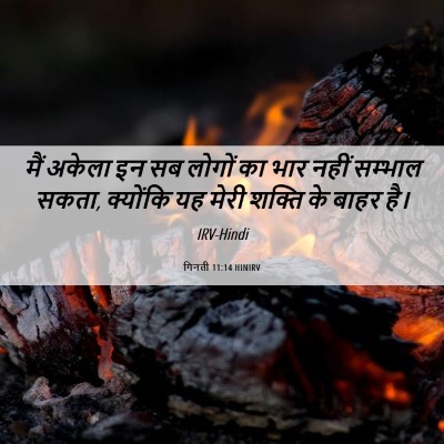 Picture 06 - गिनती 11:14 HINIRV - मैं अकेला इन सब - Bible Verse Picture