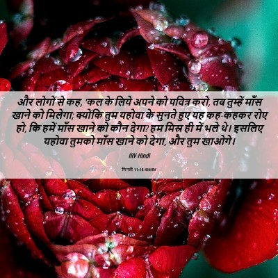 Picture 06 - गिनती 11:18 HINIRV - और लोगों से कह, 'कल - Bible Verse Picture