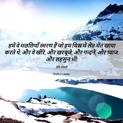 Picture 06 - गिनती 11:5 HINIRV - हमें वे मछलियाँ - Bible Verse Picture
